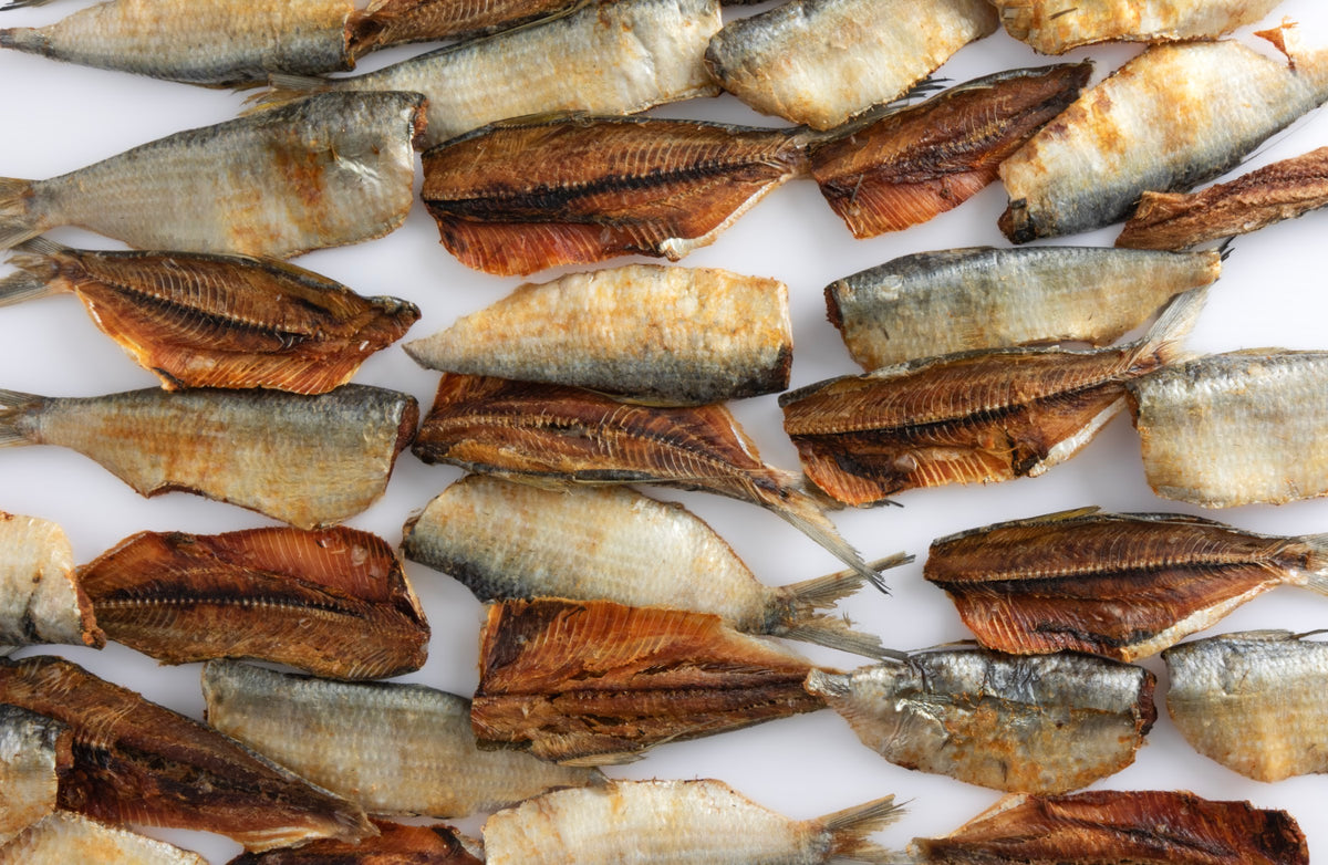 Sardinas Deshidratadas 100% natural Noupet