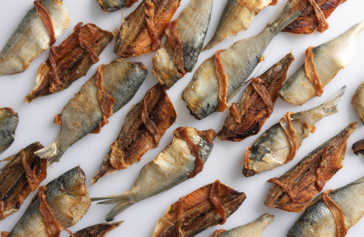 Sardinas con Pollo deshidratadas 100% natural Noupet