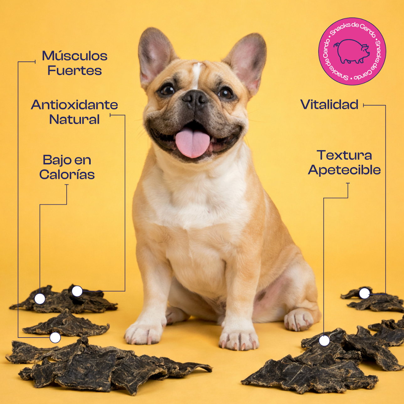 Corazón de Cerdo deshidratado Noupet