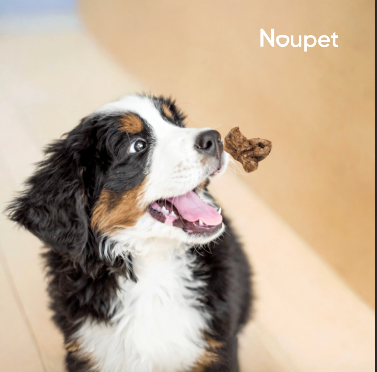 Pulmón de cerdo Deshidratado Noupet