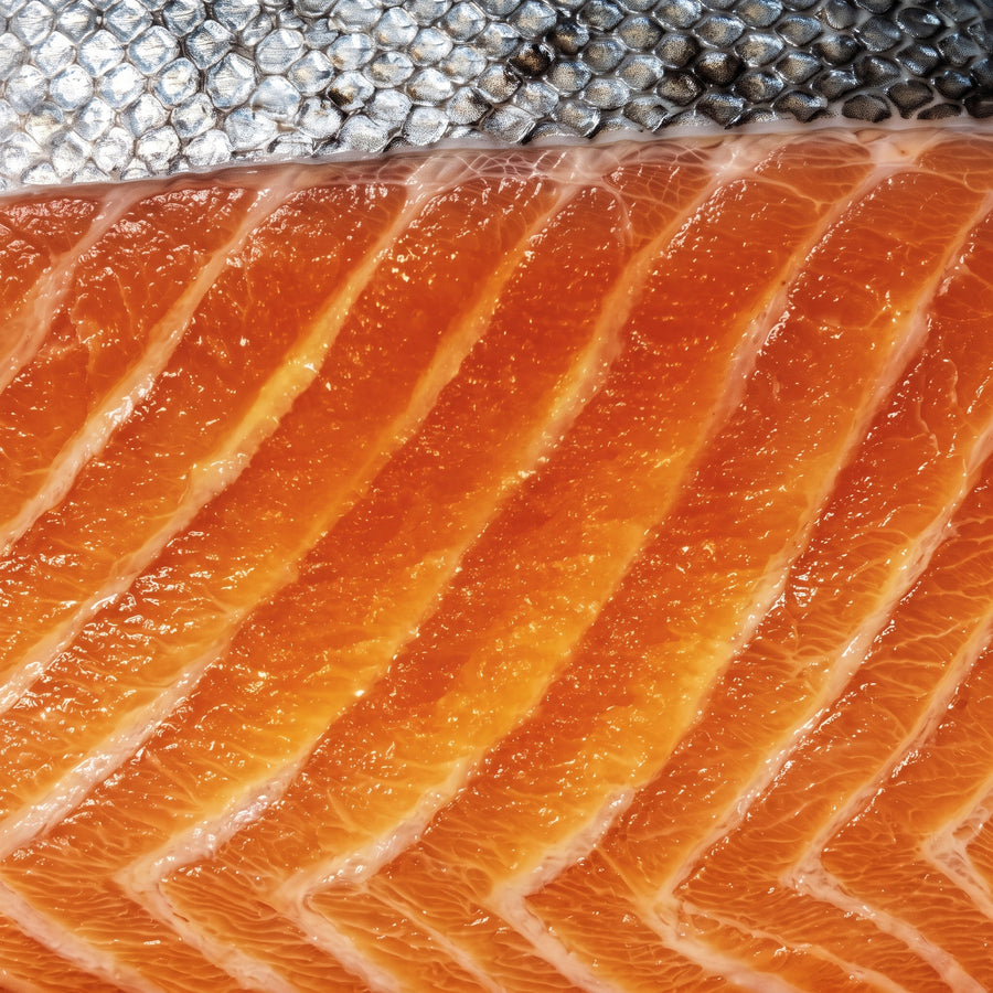 Salmón