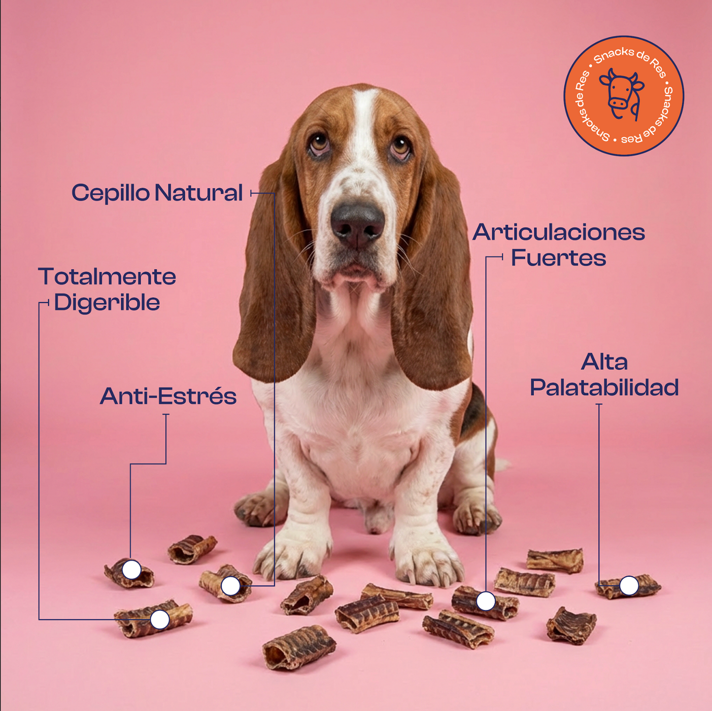 Tráqueas de Res Mediana Deshidratada Premios o Snacks - Noupet