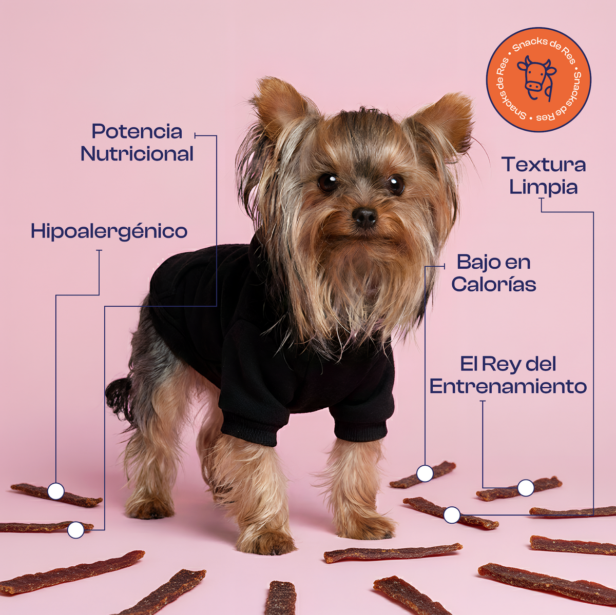 Hígado de Res deshidratado 100% natural Noupet