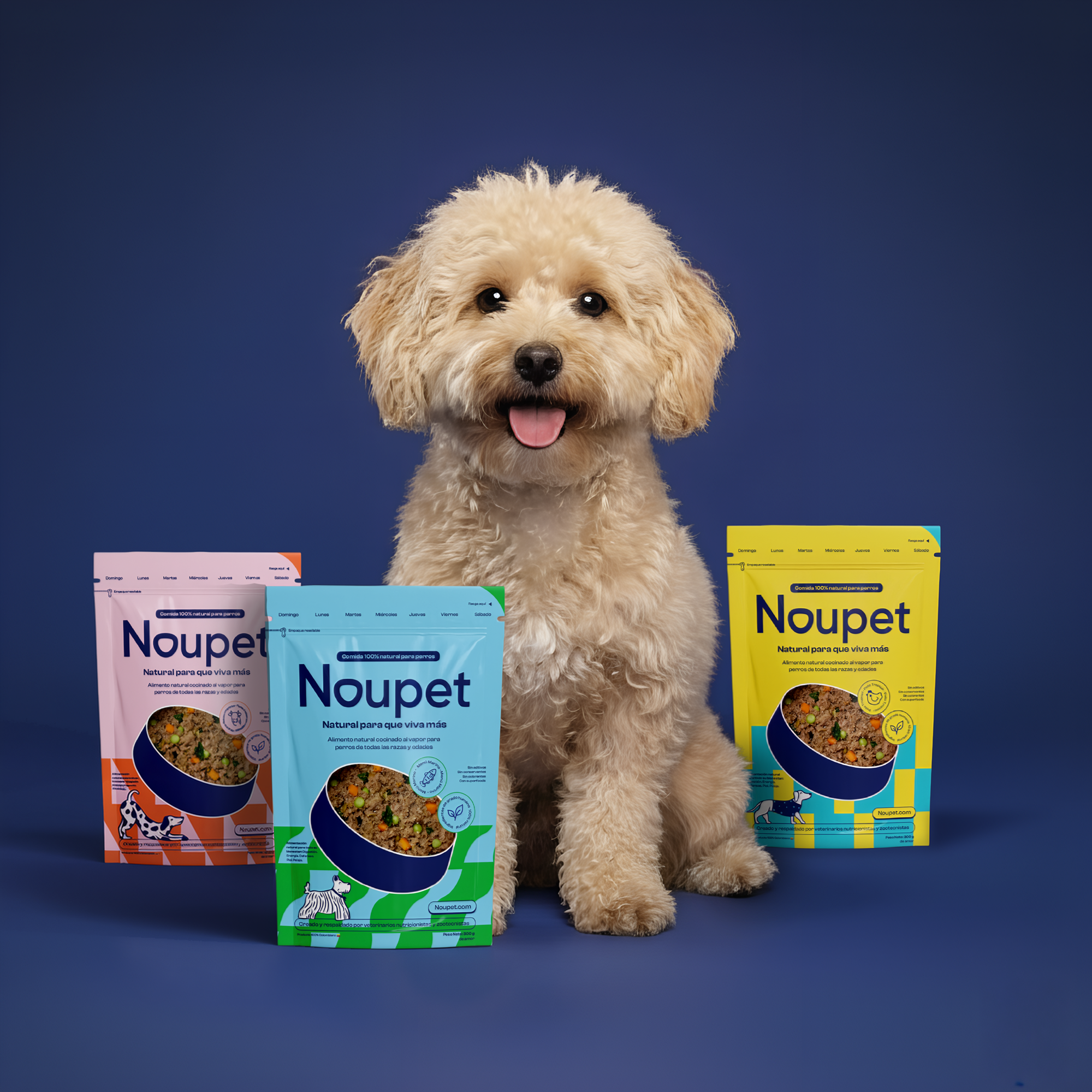 Alimento Natural para Perros