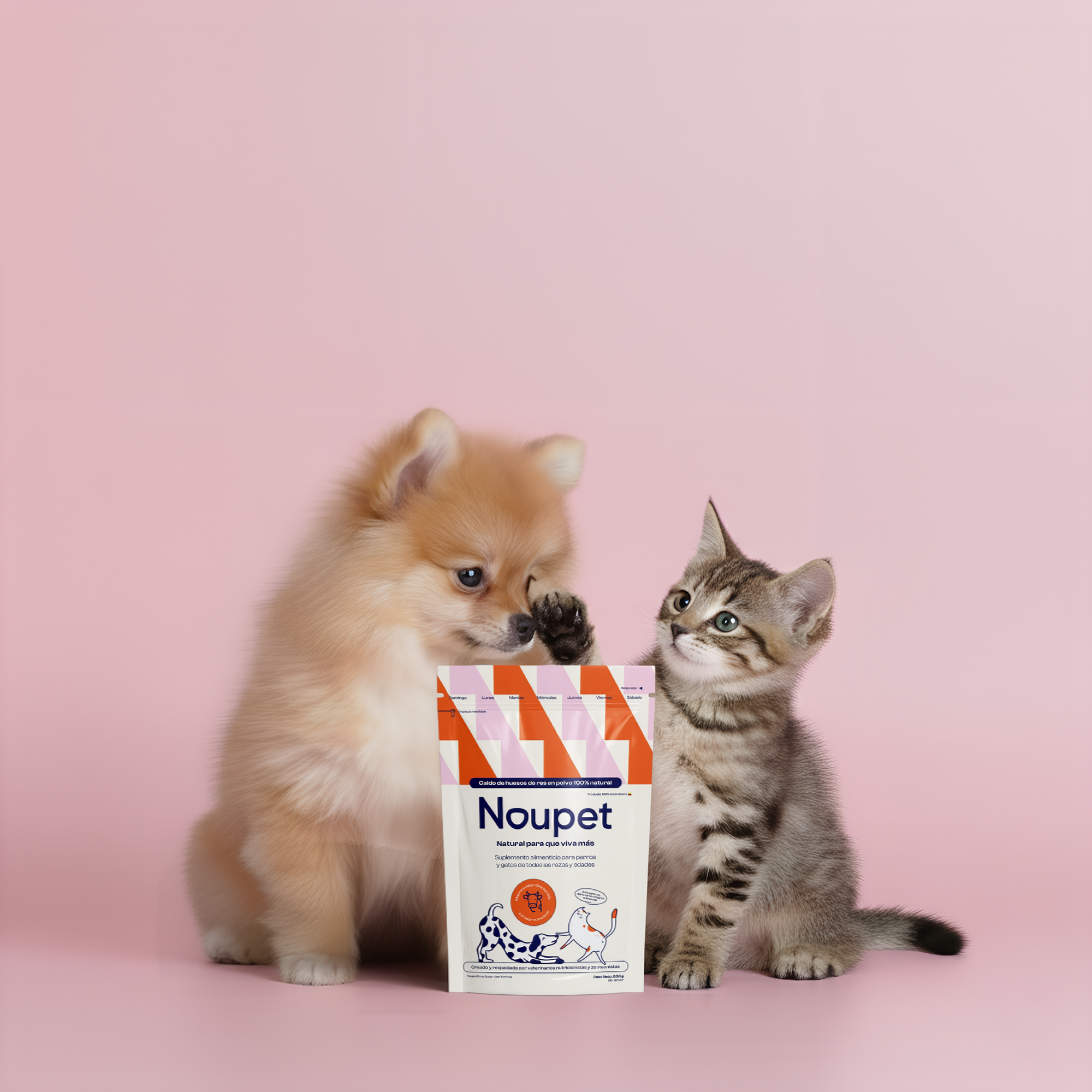 Caldo de huesos de res en polvo