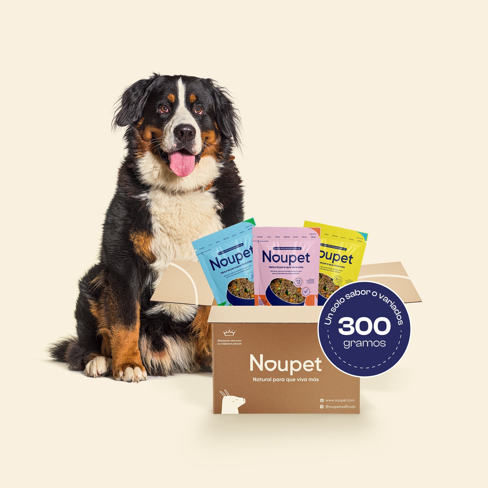 Combos alimento 300g