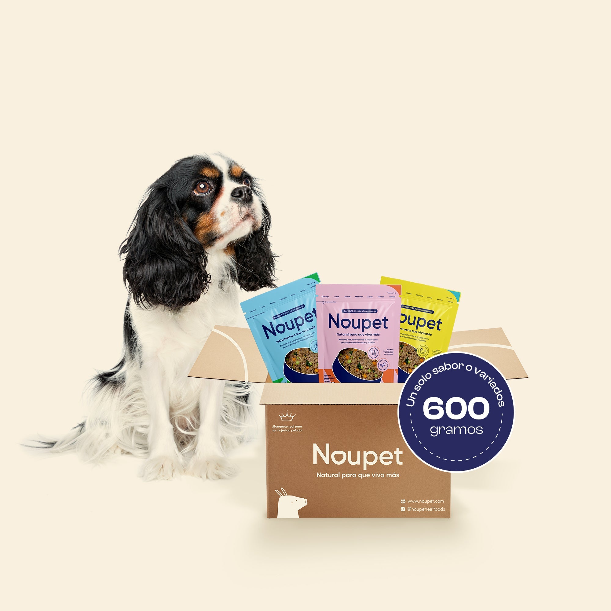 Combos alimento 600g