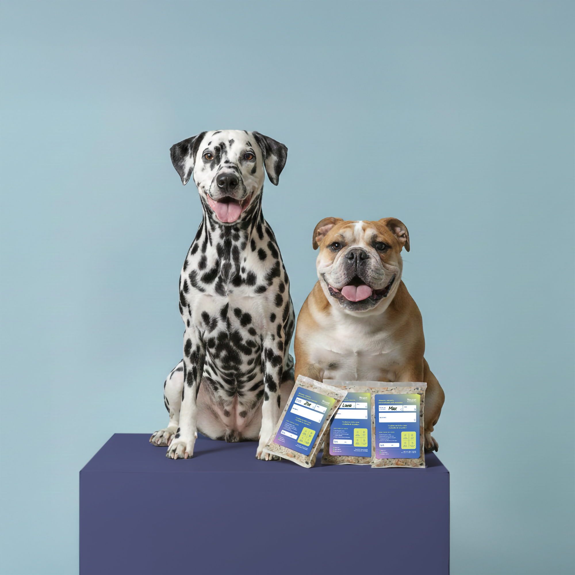 Dieta personalizada para perros y gatos