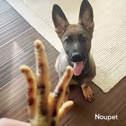Patas de Pollo Deshidratadas premios o Snacks- Noupet