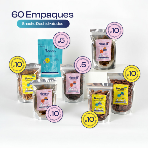 Kit Emprendedor Estrella- 60 Snacks Naturales