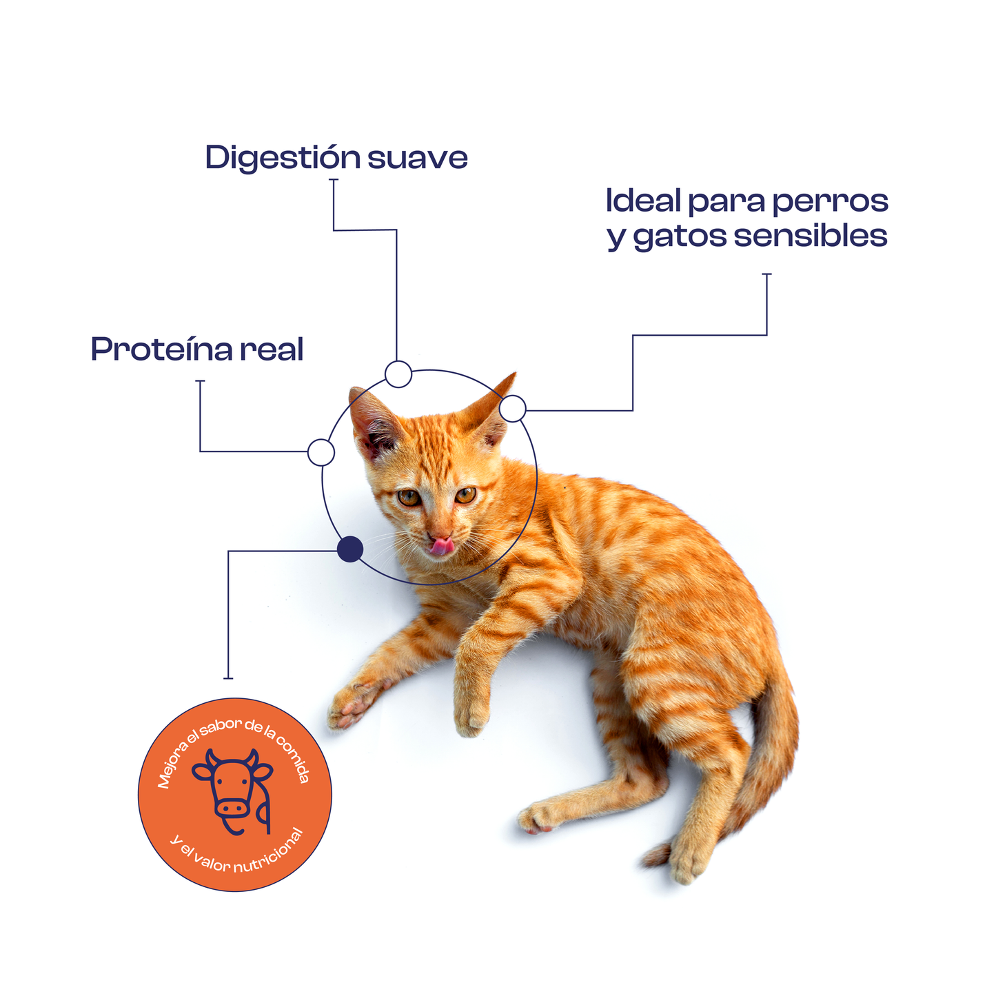 Caldo de Huesos de Res en Polvo 300 g- Noupet