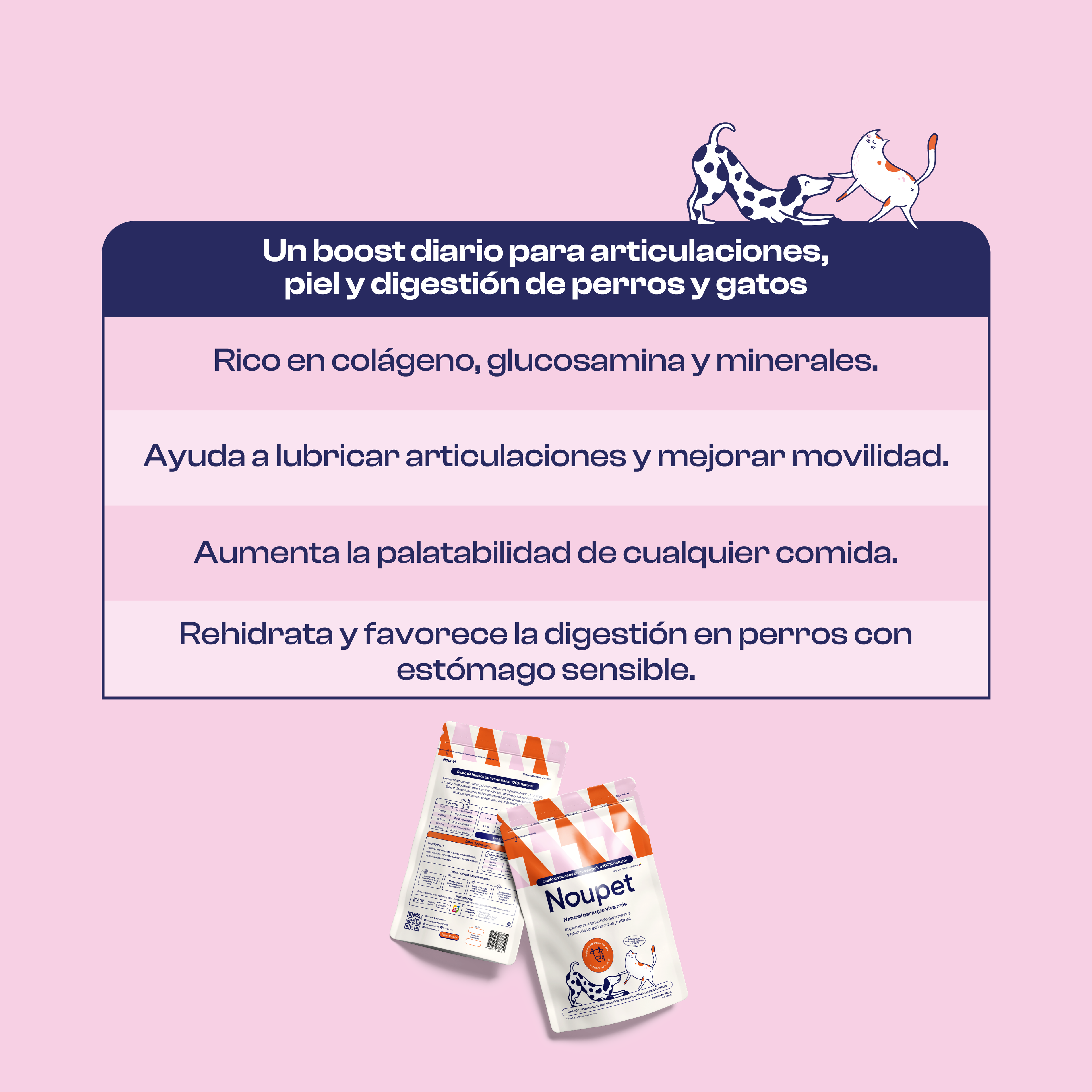 Caldo de Huesos de Res en Polvo 300 g- Noupet