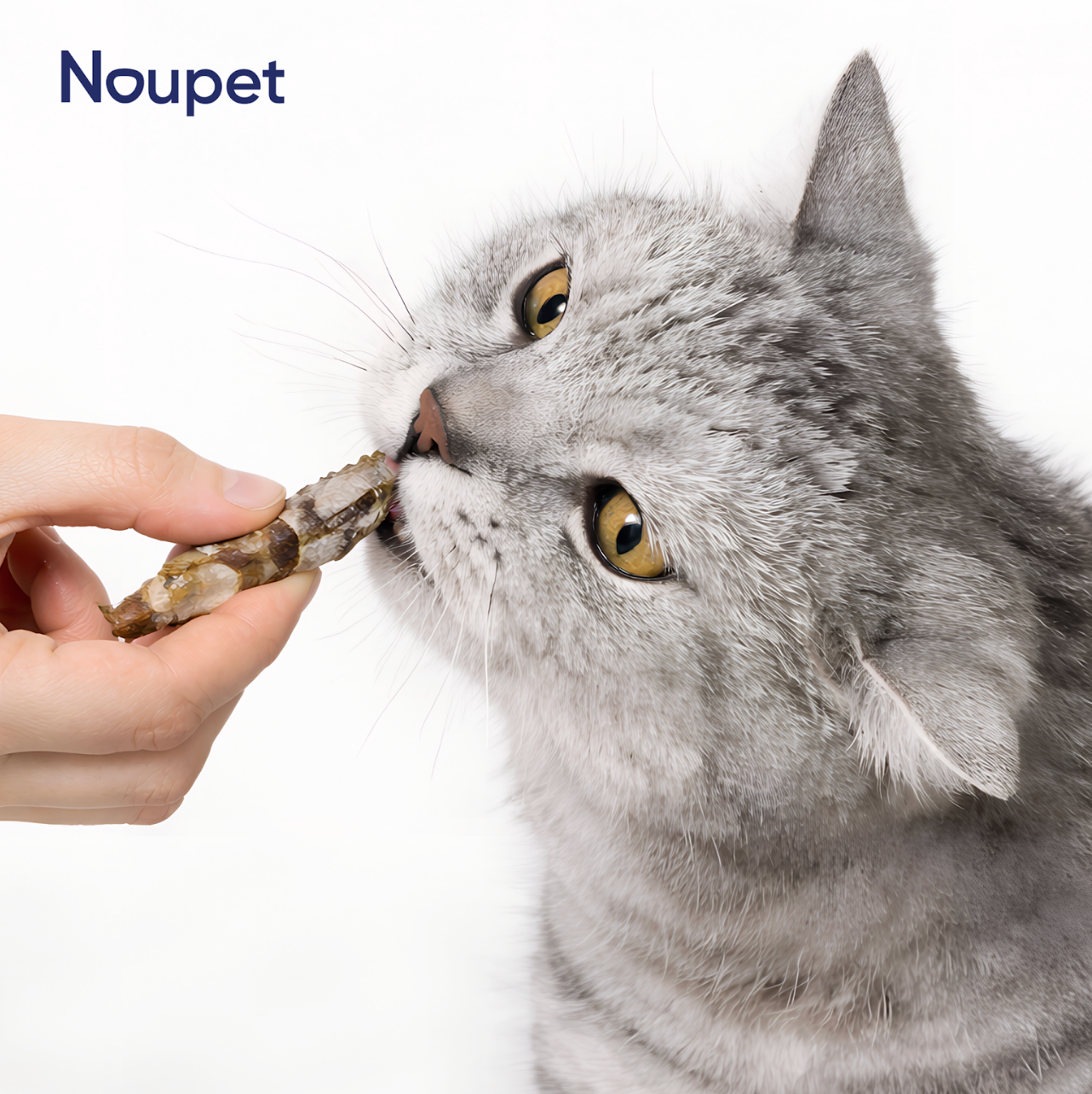 Piel de Pescado Deshidratado Noupet