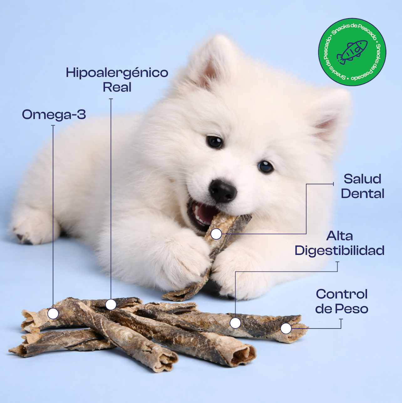 Piel de Pescado Deshidratado Noupet