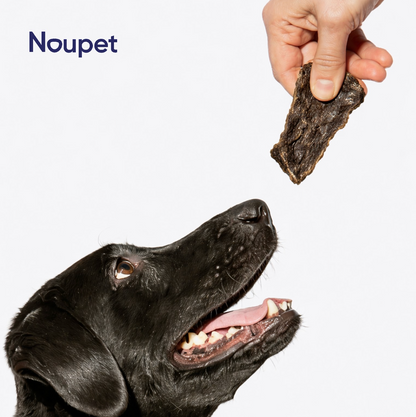 Corazón de Cerdo deshidratado Noupet