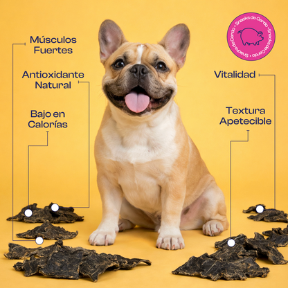 Corazón de Cerdo deshidratado Noupet