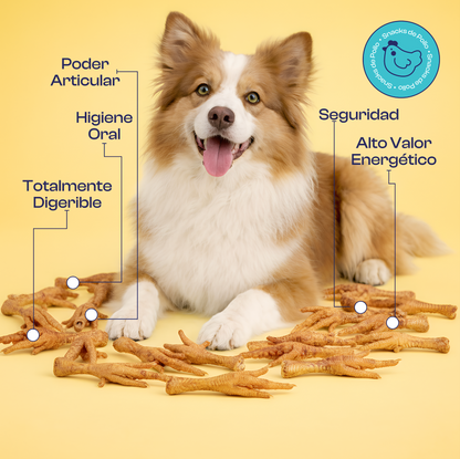 Patas de Pollo Deshidratadas premios o Snacks- Noupet