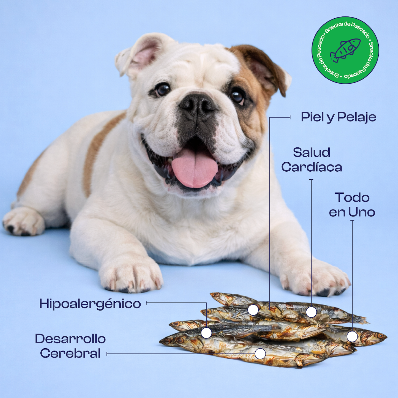 Sardinitas Deshidratadas Noupet