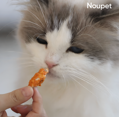 Sardinítas con Pollo deshidratadas Noupet