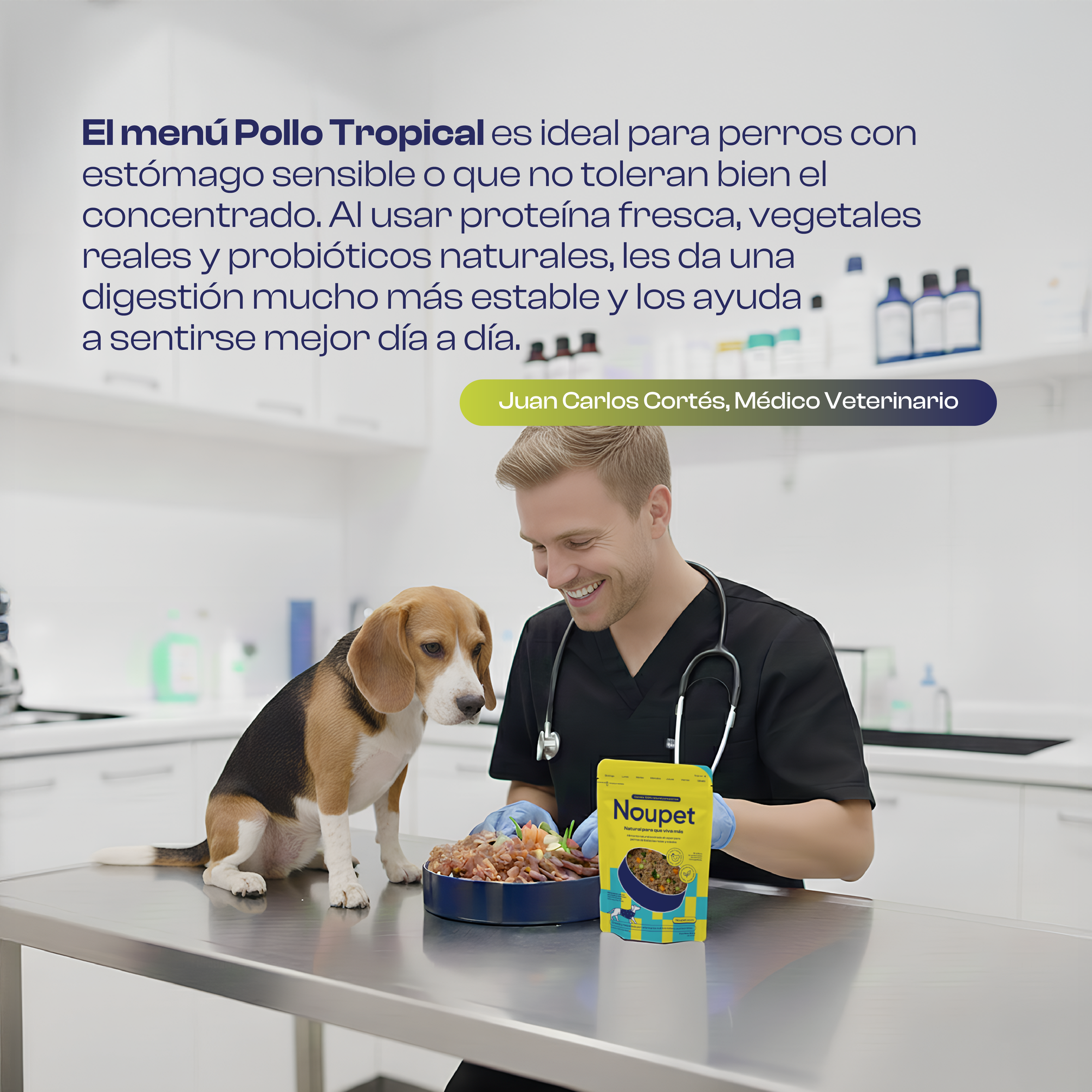 Pollo Tropical 600 g- Alimento Natural cocinado Noupet