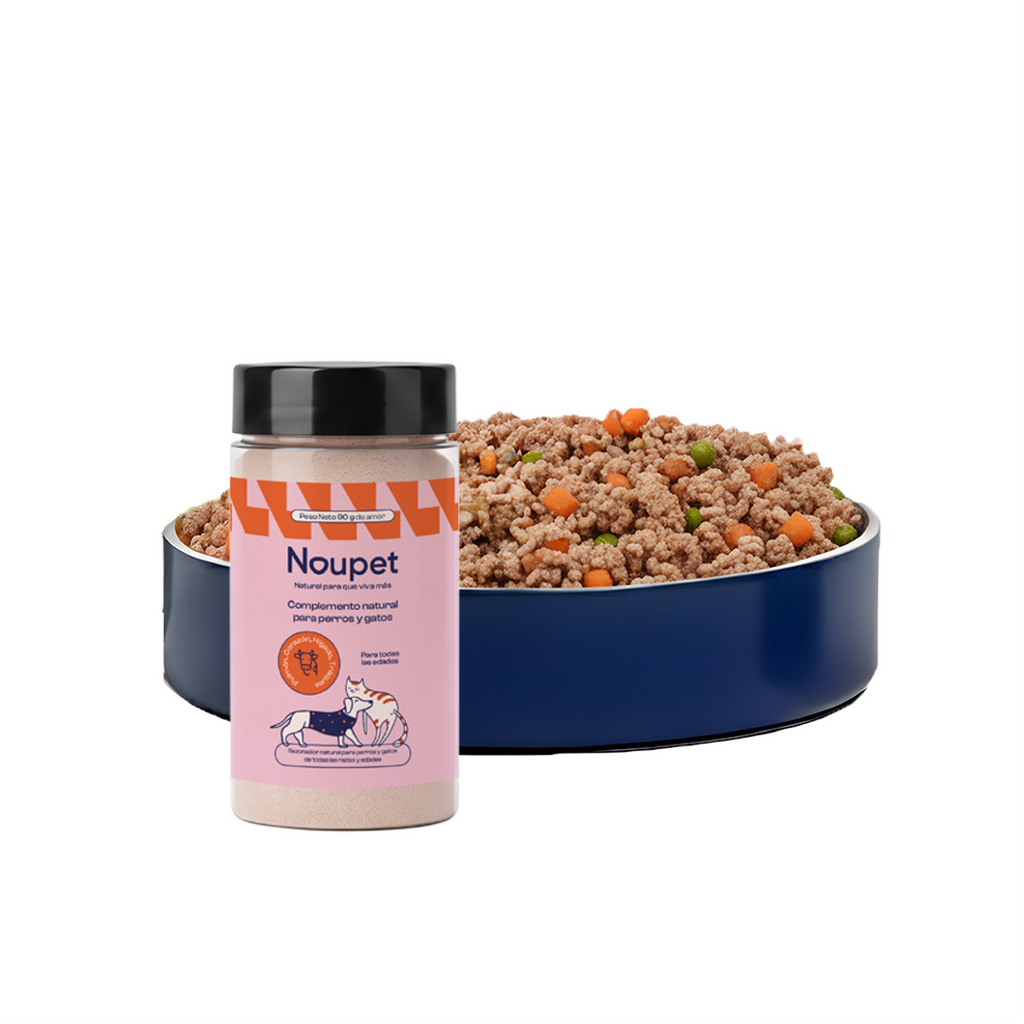 Sazonador de Res 90 g- Noupet