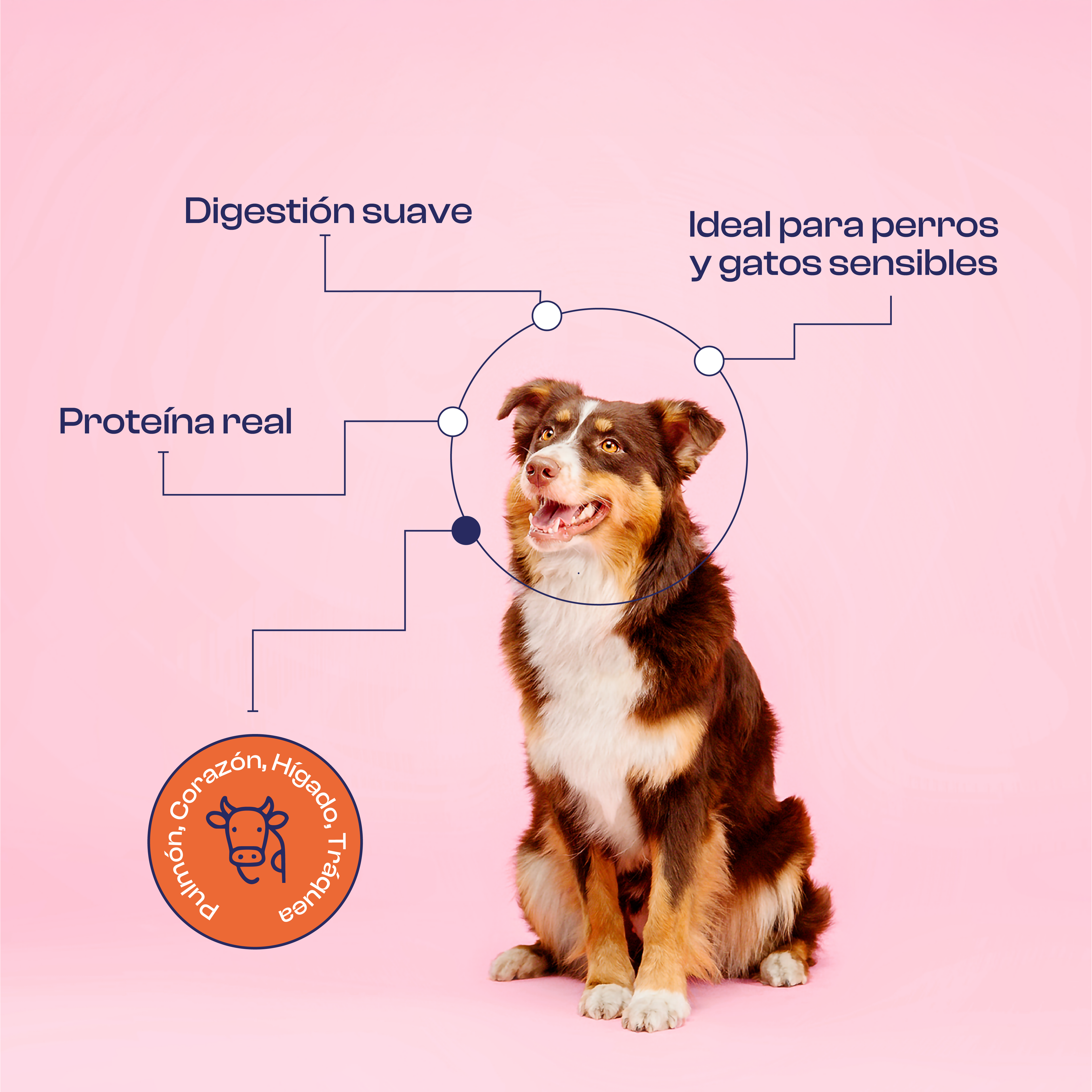 Sazonador de Res 90 g- Noupet