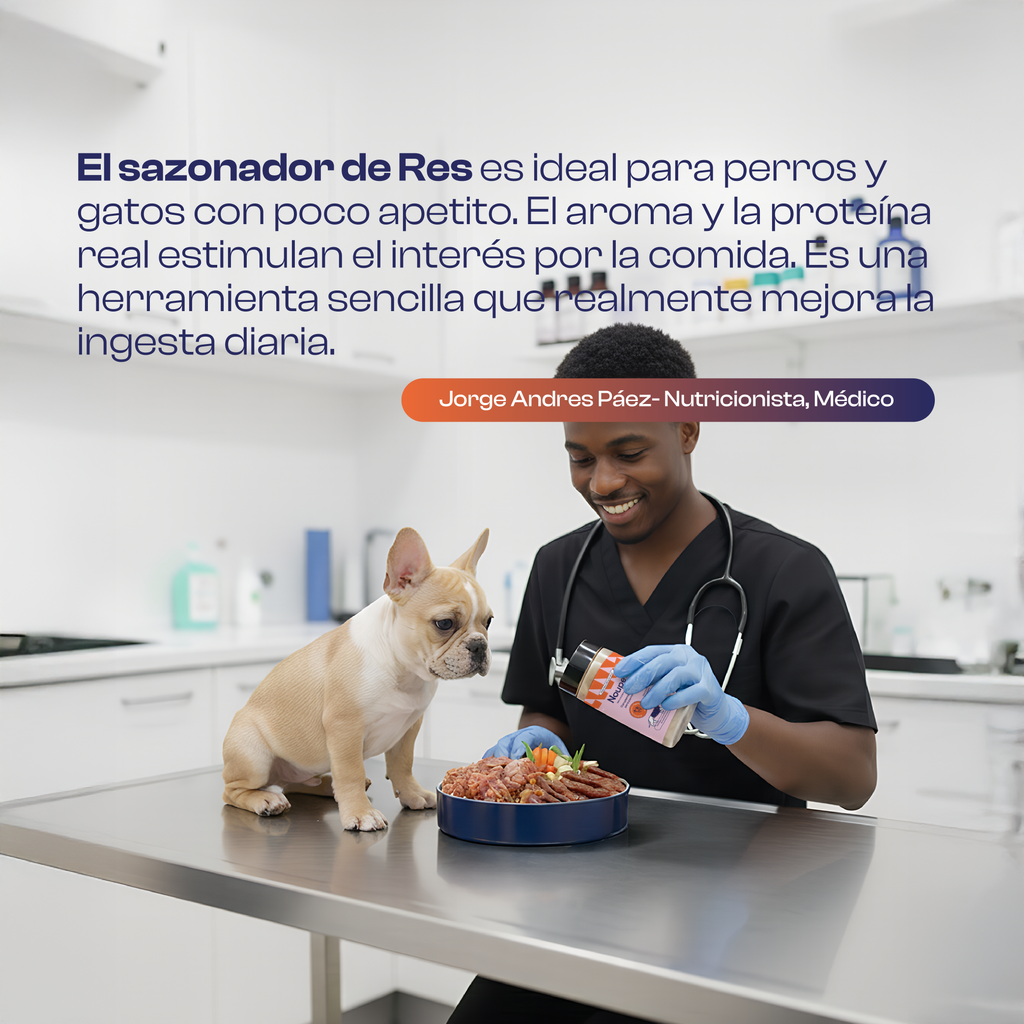 Sazonador de Res 90 g- Noupet