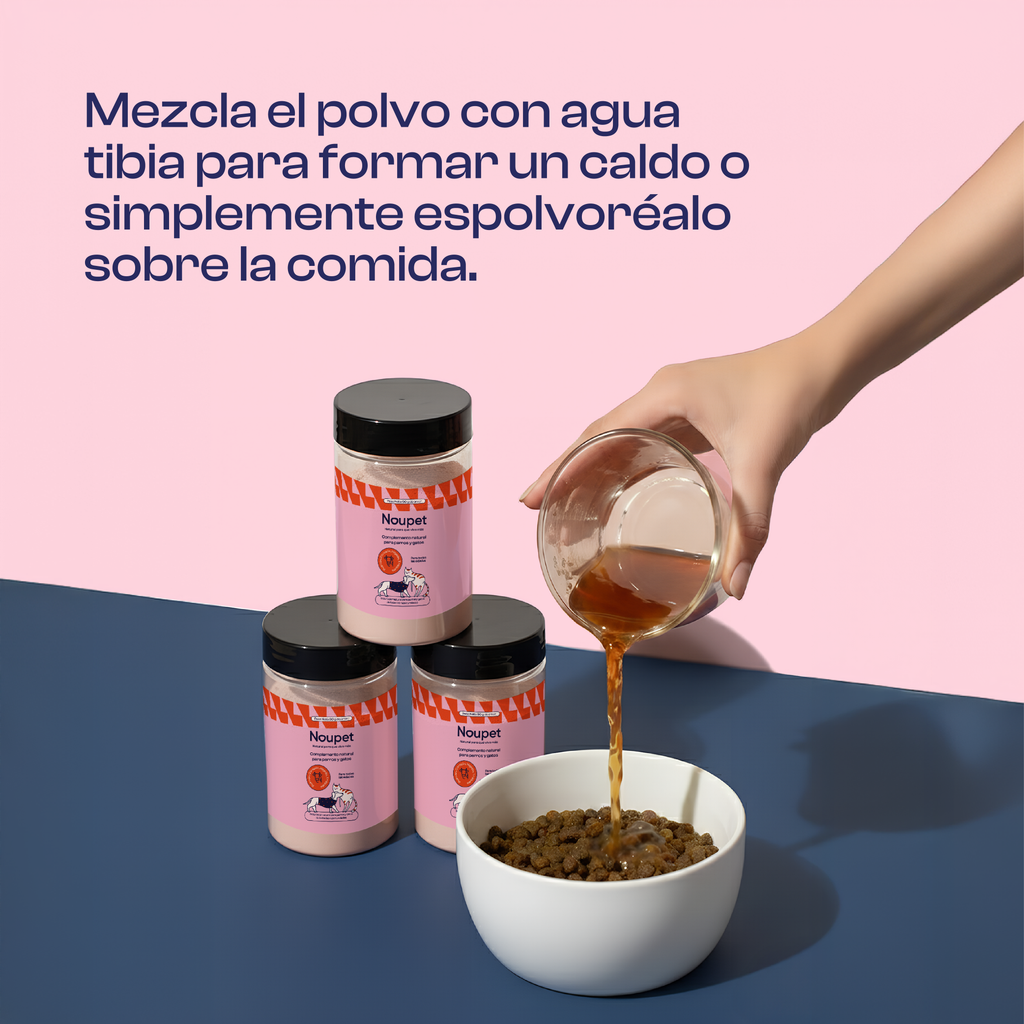 Sazonador de Res 90 g- Noupet