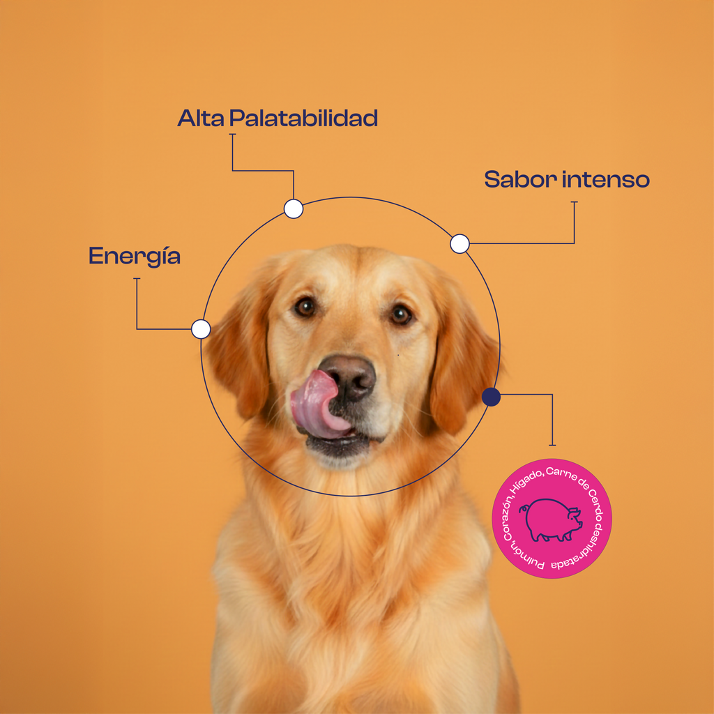 Sazonador de Cerdo 90 g- Noupet