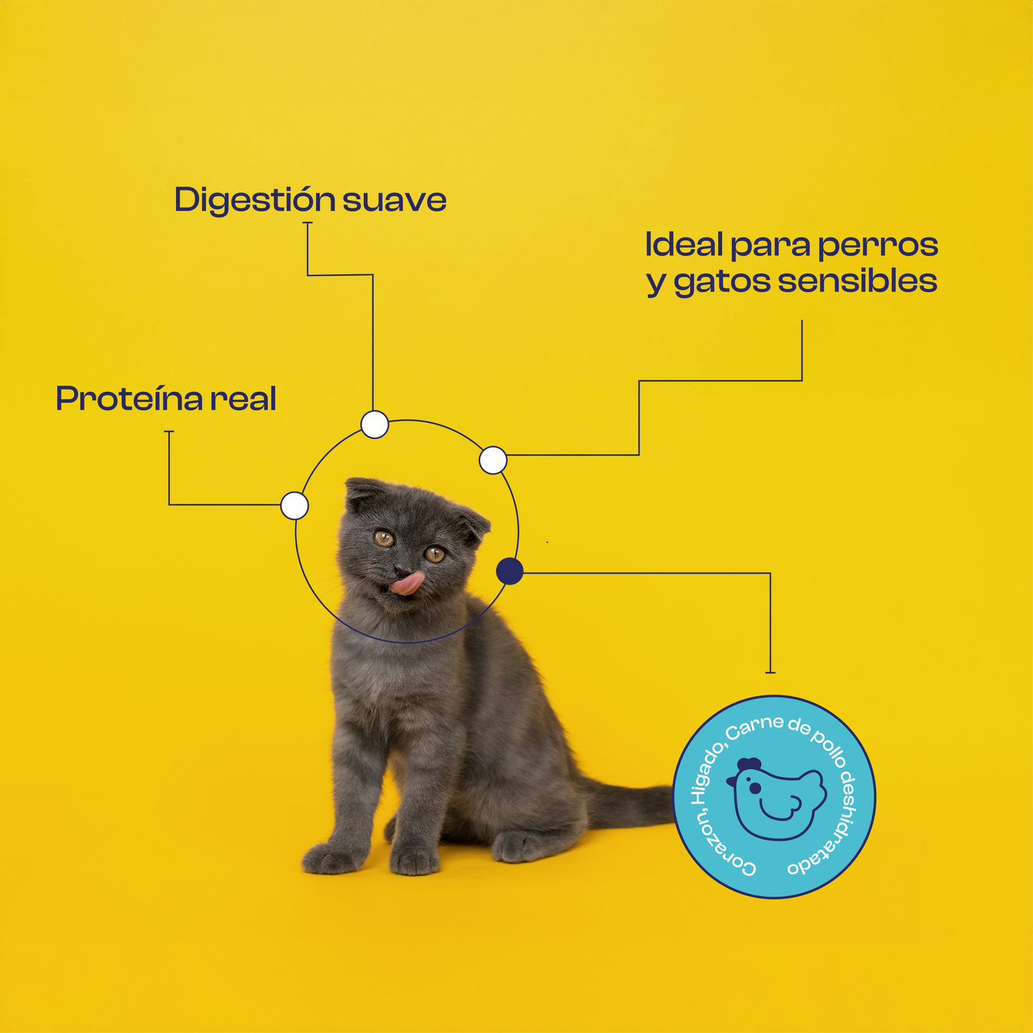 Sazonador de Pollo 90 g- Noupet