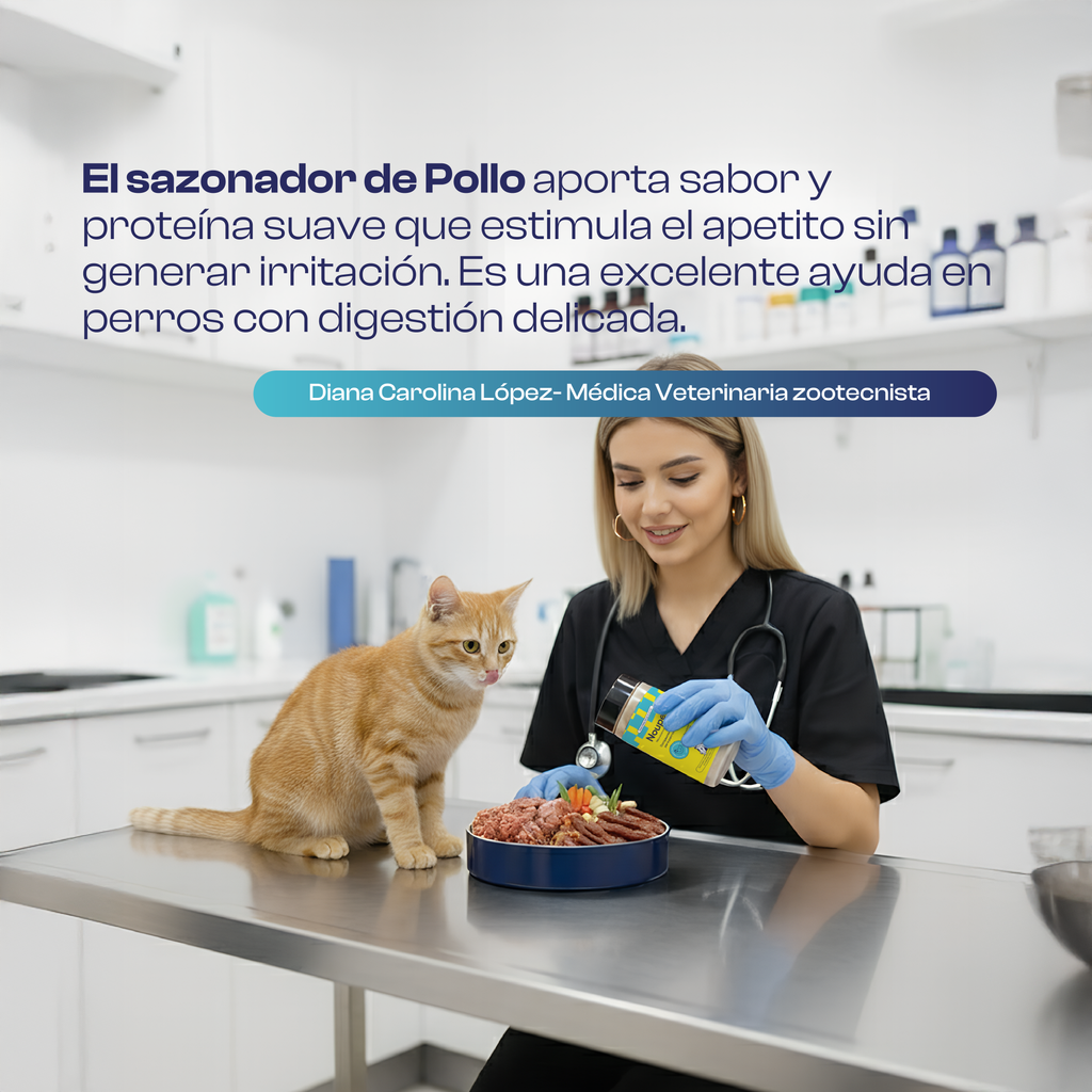 Sazonador de Pollo 90 g- Noupet