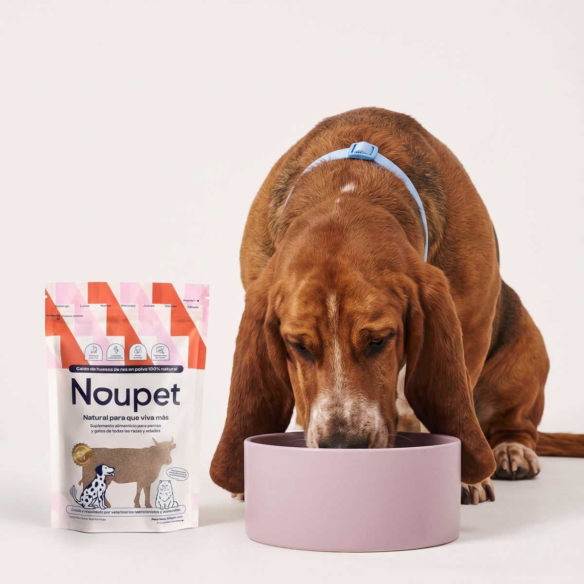 Tu mascota no quiere comer?