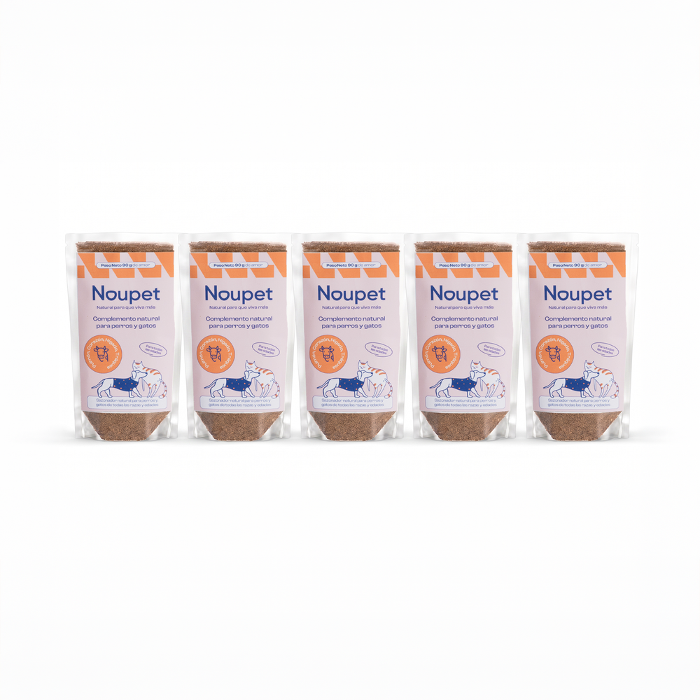 Pack de 5 Sazonadores de Res 90g- Noupet