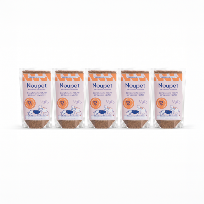 Pack de 5 Sazonadores de Res 90g- Noupet