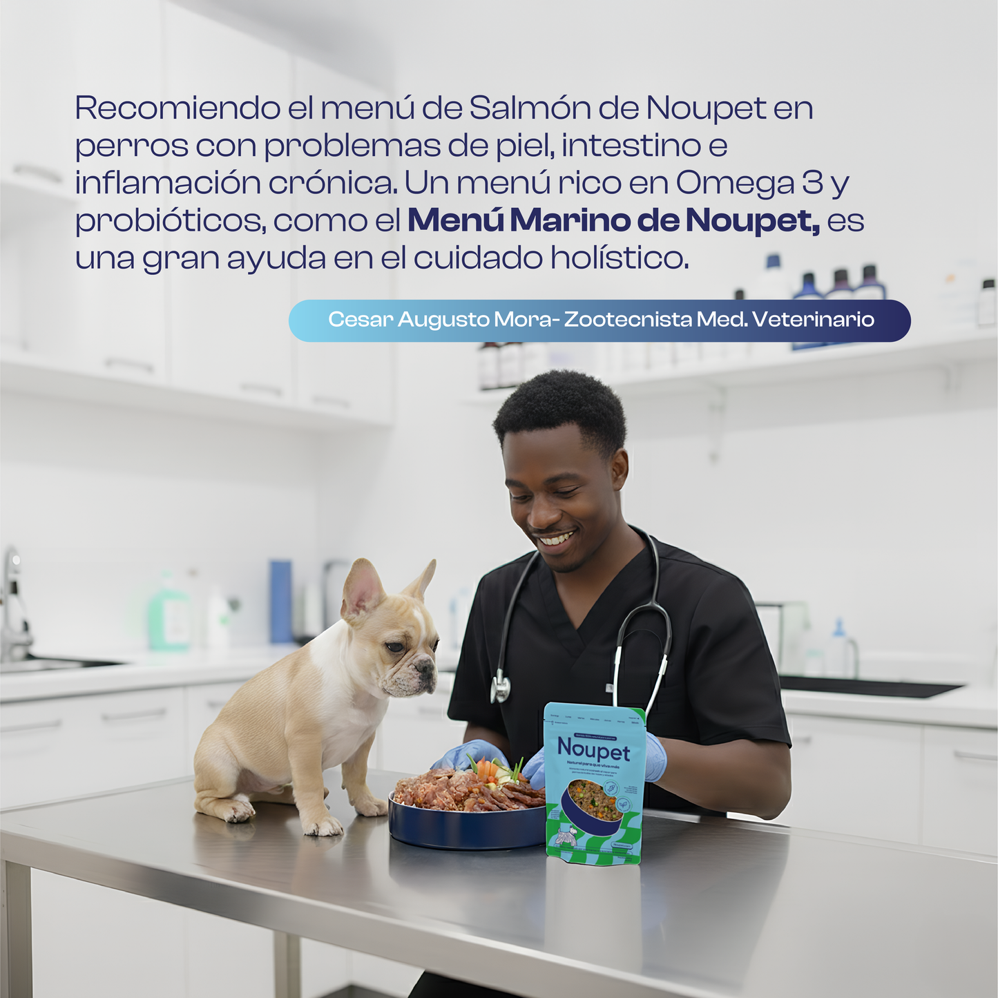 Menú Marino (Salmón) Alimento Natural cocinado Noupet