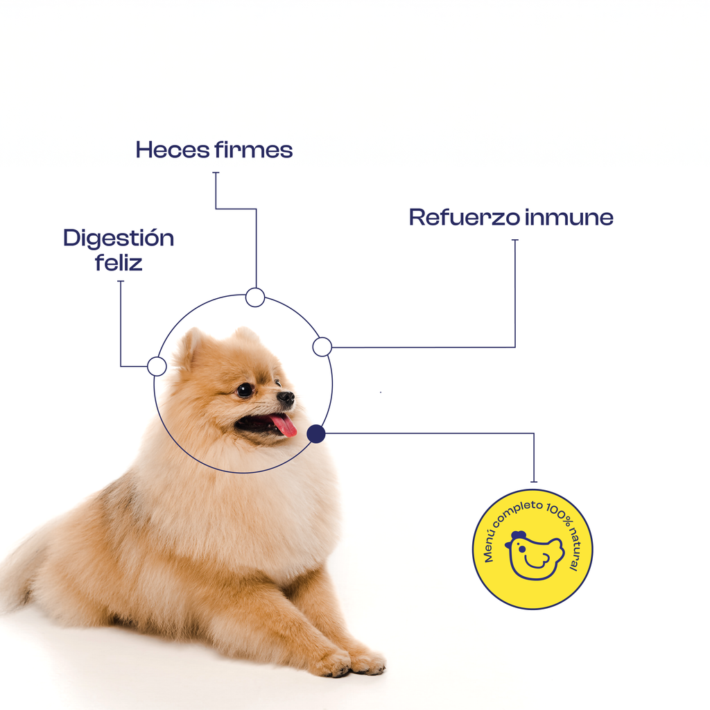 Pollo Tropical 300 g- Alimento Natural cocinado Noupet