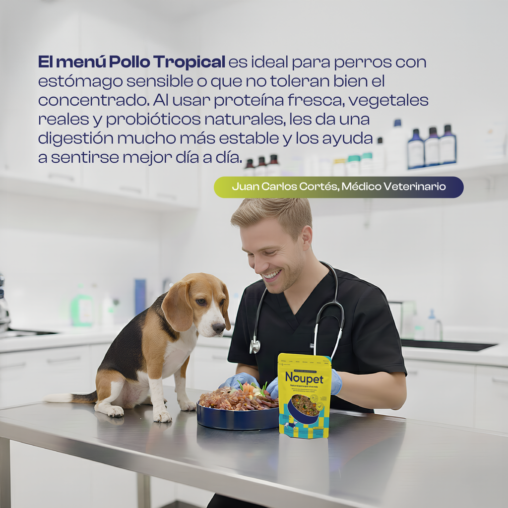 Pollo Tropical 300 g- Alimento Natural cocinado Noupet