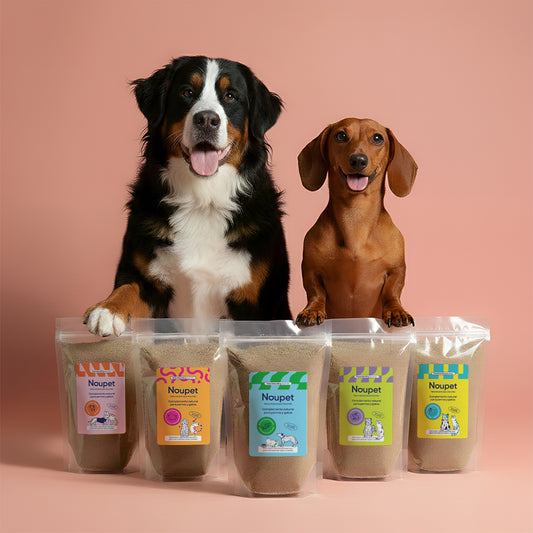 Pack de 5 Sazonadores para mascotas- Noupet