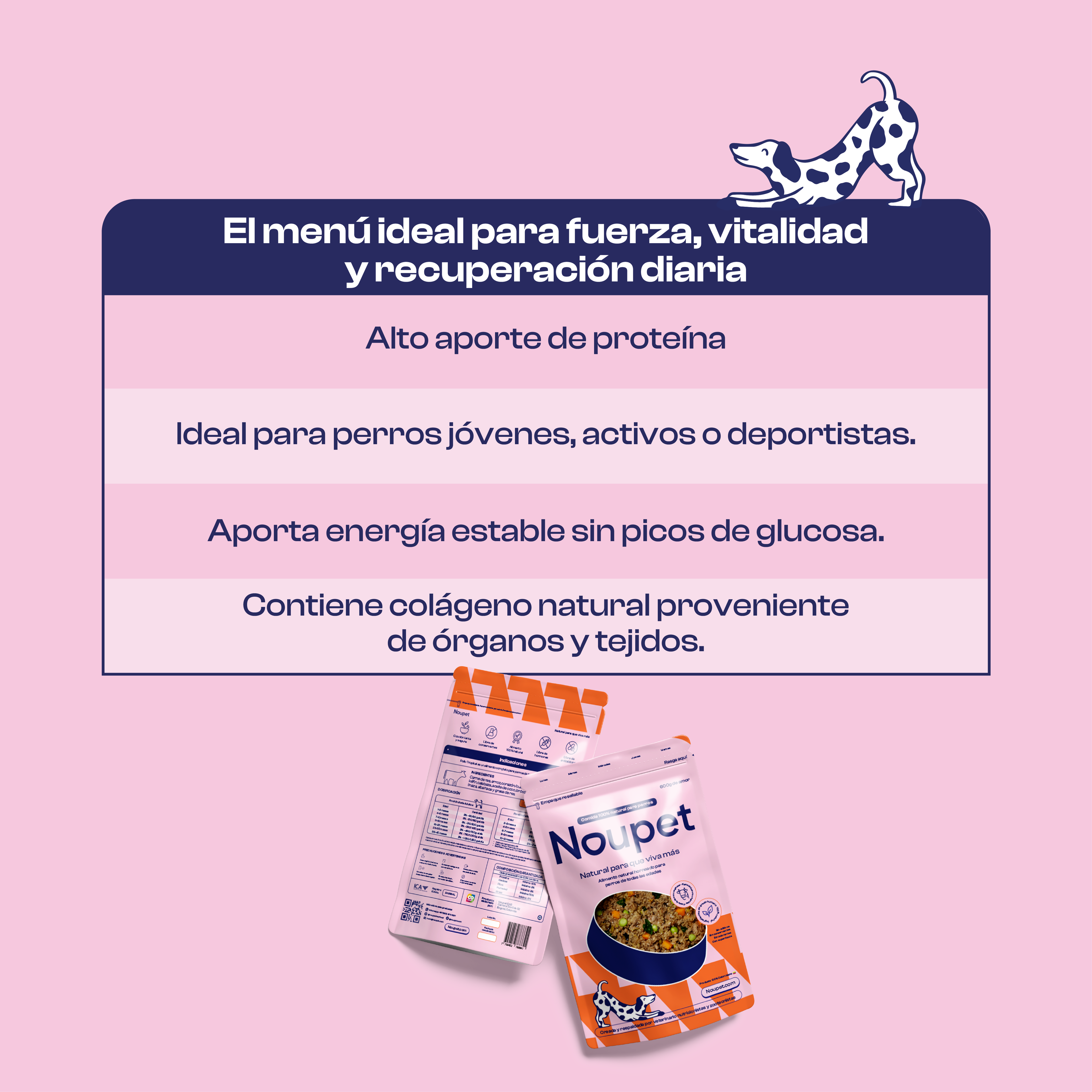 Fiesta de Res con Vegetales 300 g- Alimento Natural cocinado Noupet