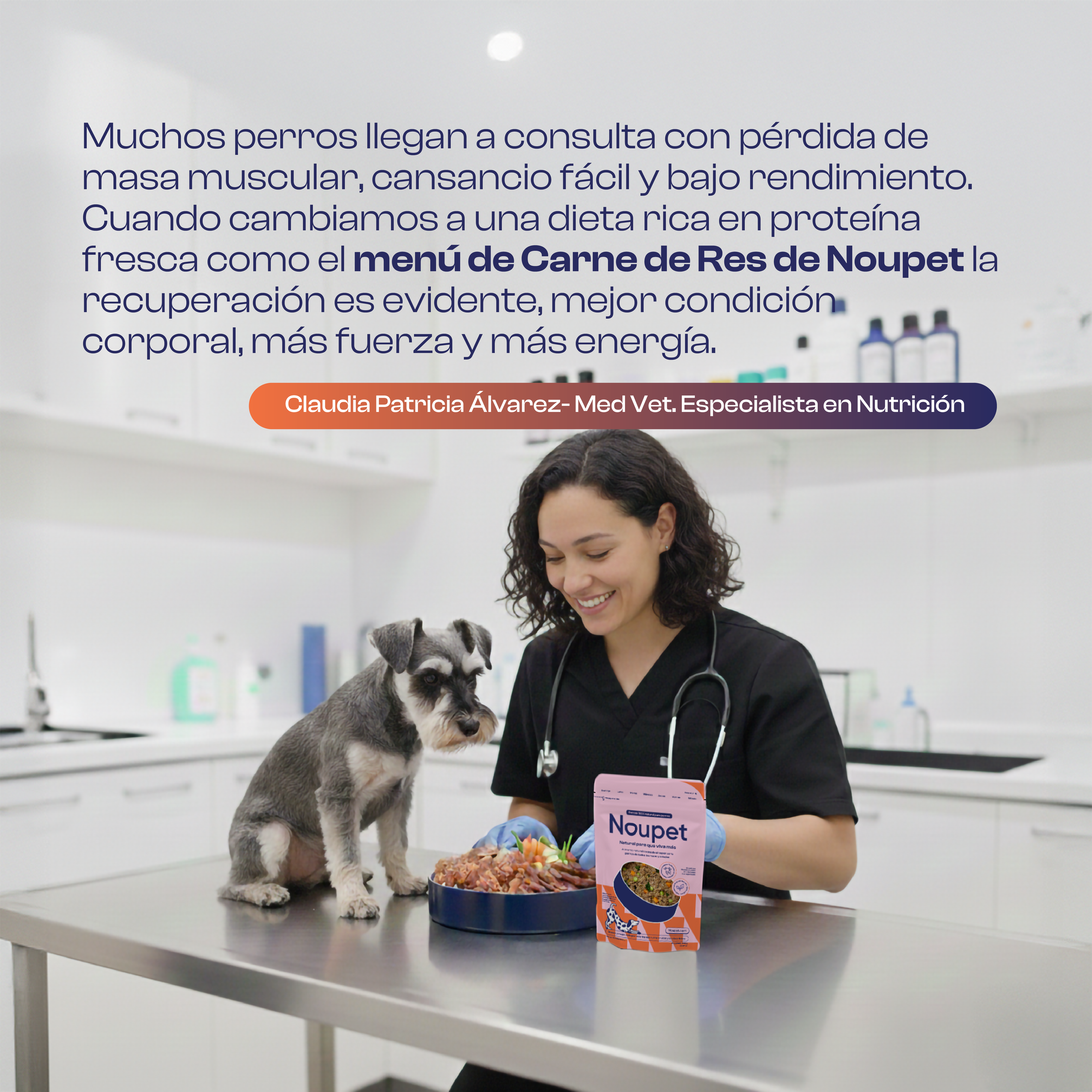 Fiesta de Res con Vegetales 300 g- Alimento Natural cocinado Noupet