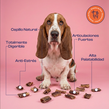 Tráqueas de Res Mediana Deshidratada Premios o Snacks - Noupet