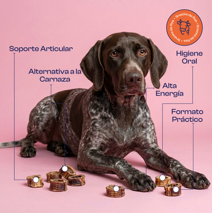 Aros de Tráquea de Res deshidratada 100% natural Noupet
