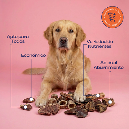 Mix de Res Deshidratados- premios o snacks Noupet