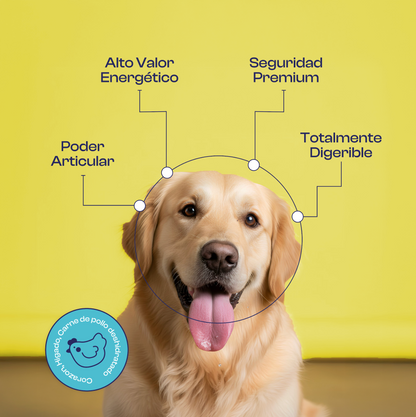 Patas de Pollo Deshidratadas premios o Snacks- Noupet