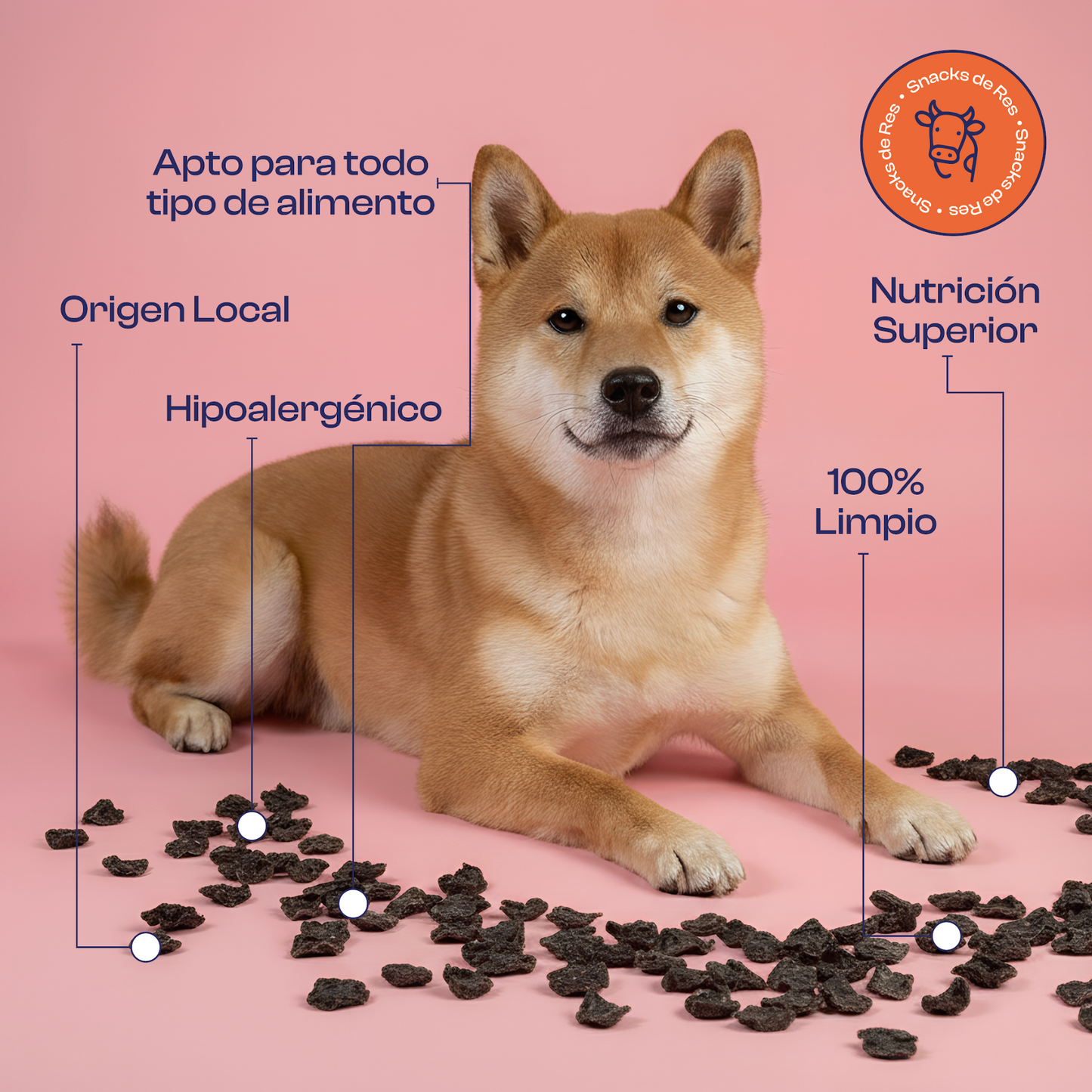 Corazoncitos de Res deshidratados 100% naturales Noupet