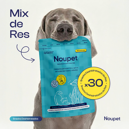 Kit Mayorista 30 Mix de res (corazón, traquea, hígado, pulmón) Snacks Naturales