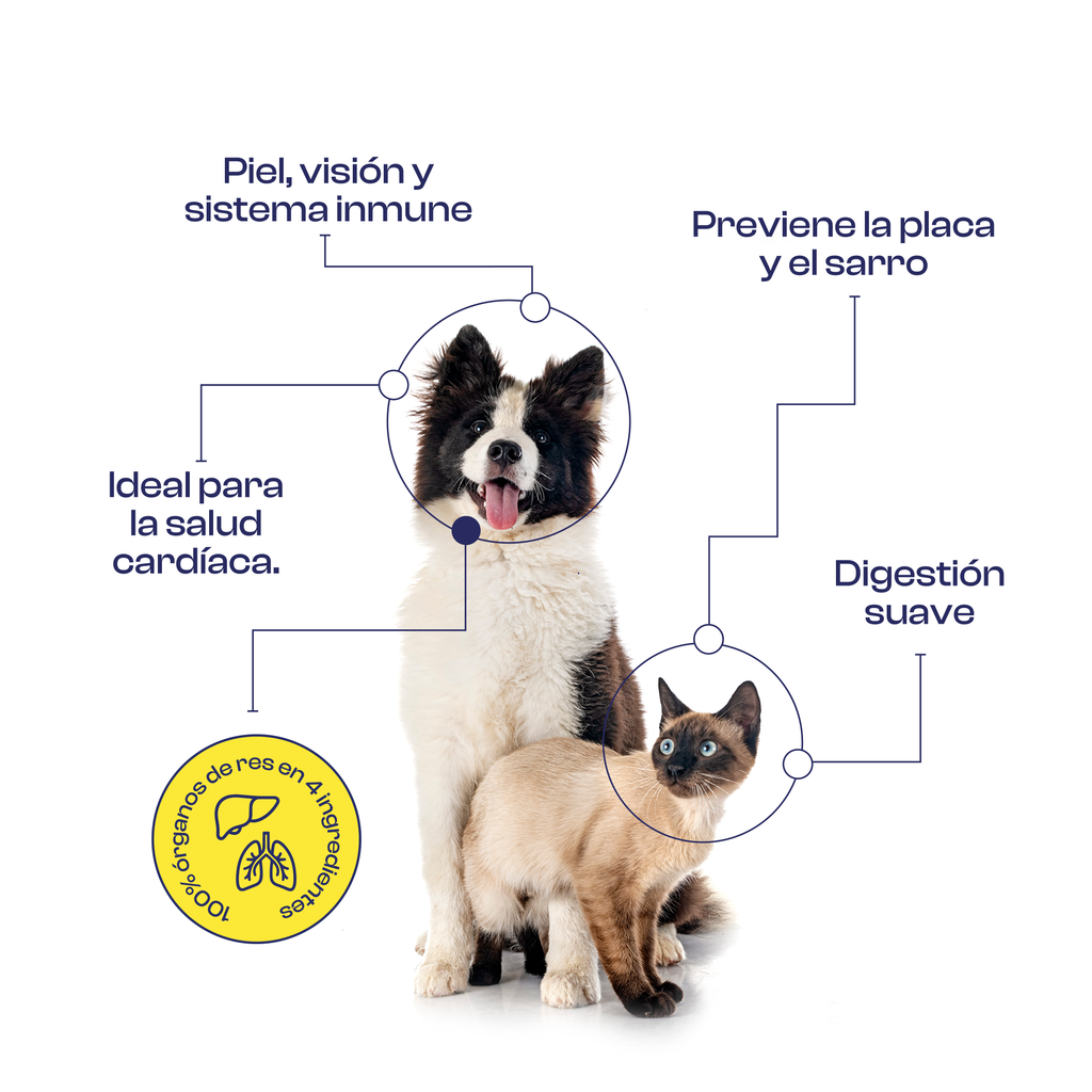 Snacks Mix de Res Deshidratados 120 g- Noupet
