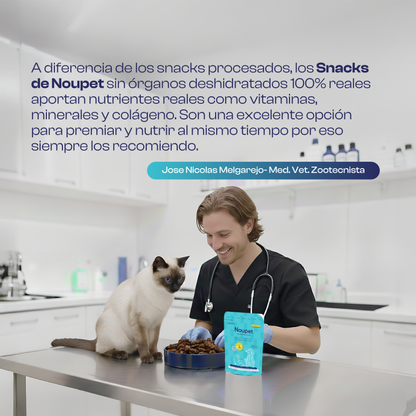 Mix de Res Deshidratados- premios o snacks Noupet