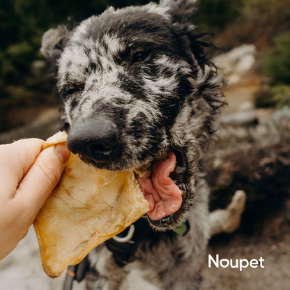 Orejas de Res Deshidratadas 2 unidades de Premios o Snacks- Noupet