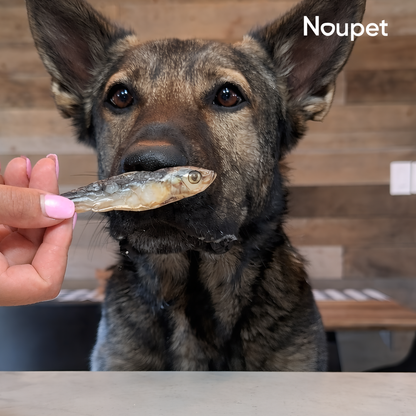 Sardinitas Deshidratadas Noupet